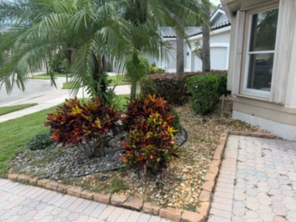 The front corner bed before the work: tan river pebble around established crotons, beside a paver walk.