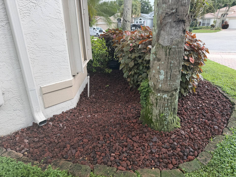 Red lava rock worked in close around a palm trunk and along the base of the house to the downspout.